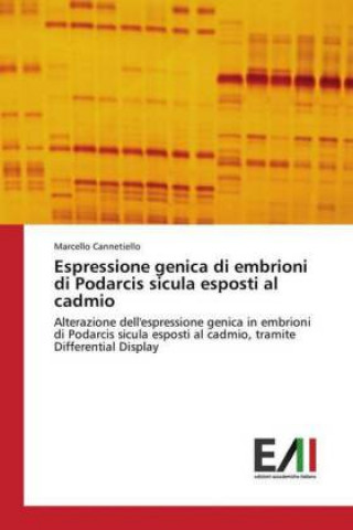 Buch Espressione genica di embrioni di Podarcis sicula esposti al cadmio Marcello Cannetiello