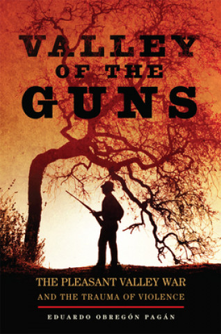 Könyv Valley of the Guns Eduardo Obreg Pagan