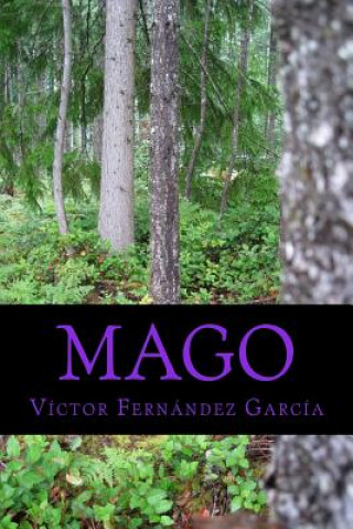 Könyv Mago Victor Fernandez Garcia