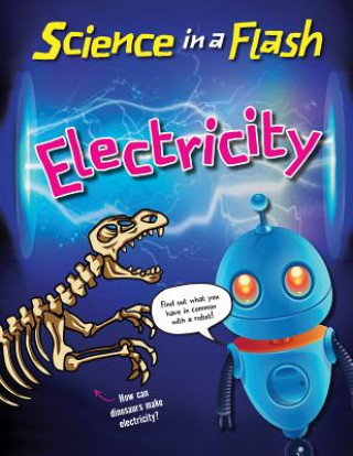 Knjiga Electricity Georgia Amson-Bradshaw