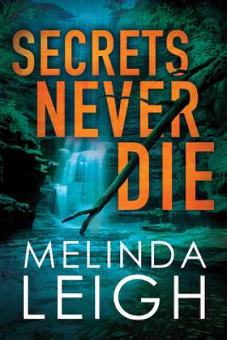 Kniha Secrets Never Die Melinda Leigh