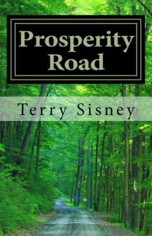 Boek Prosperity Road: Gods Will Is Good Terry W Sisney