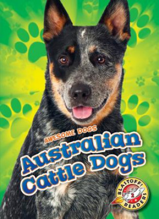 Carte Australian Cattle Dogs Lindsay Shaffer