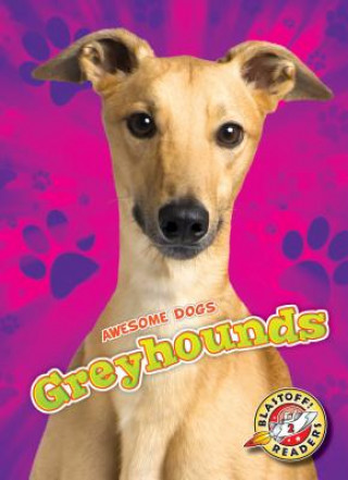 Kniha Greyhounds Lindsay Shaffer