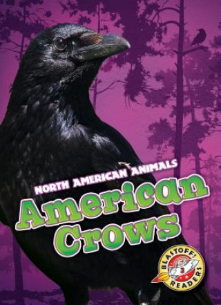 Book American Crows Rebecca Sabelko