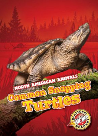 Könyv Common Snapping Turtles Rebecca Sabelko