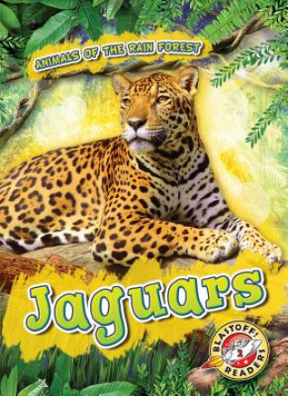 Könyv Jaguars Rachel Grack
