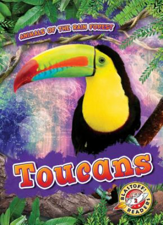 Książka Toucans Rachel A Koestler-Grack