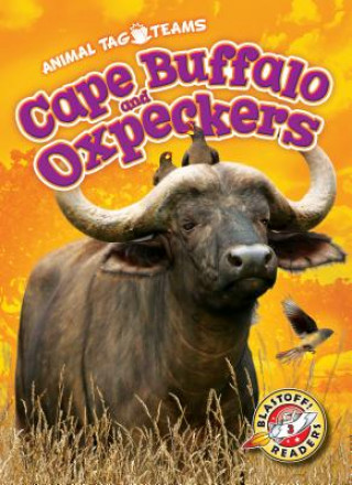 Buch Cape Buffalo and Oxpeckers Kari Schuetz