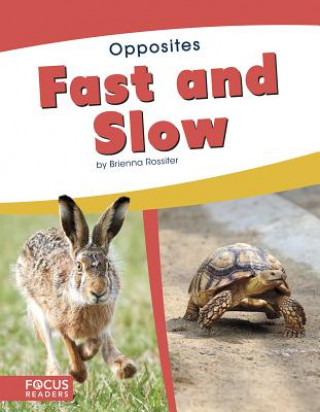 Knjiga Opposites: Fast and Slow Brienna Rossiter