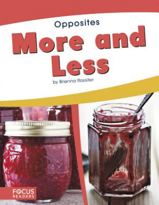 Buch Opposites: More and Less Brienna Rossiter