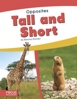 Knjiga Opposites: Tall and Short Brienna Rossiter
