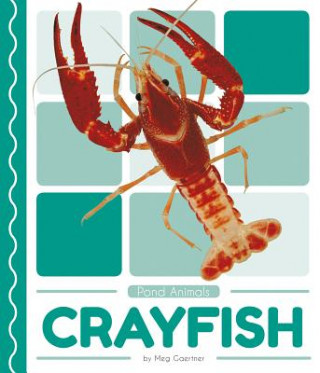 Kniha Pond Animals: Crayfish Meg Gaertner