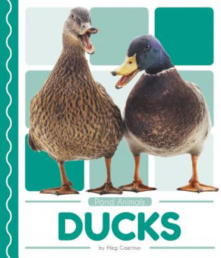 Book Pond Animals: Ducks Meg Gaertner