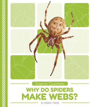 Book Science Questions: Why Do Spiders Make Webs? Debbie Vilardi