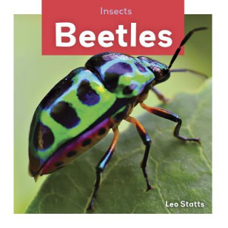 Könyv Insects: Beetles Leo Statts