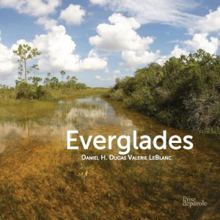 Kniha Everglades Daniel H Dugas