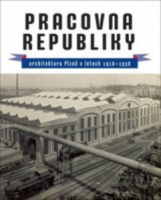 Könyv Pracovna republiky Petr Domanický