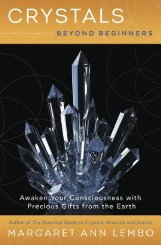 Kniha Crystals Beyond Beginners Margaret Ann Lembo