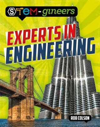 Könyv Experts in Engineering Rob Colson Jones