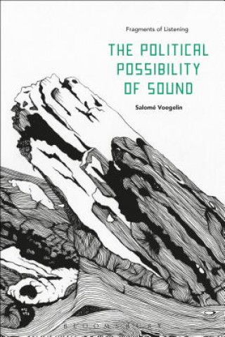 Buch Political Possibility of Sound Salome Voegelin