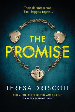 Книга Promise Teresa Driscoll
