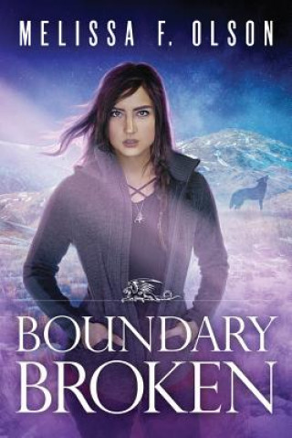 Boek Boundary Broken Melissa F. Olson