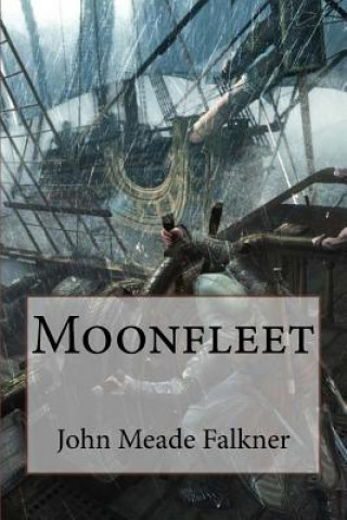 Buch Moonfleet John Meade Falkner John Meade Falkner