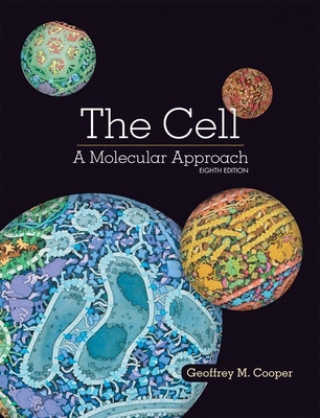 Kniha The Cell: A Molecular Approach Geoffrey Cooper