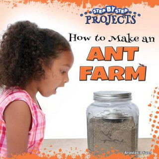 Könyv How to Make an Ant Farm Anastasia Suen