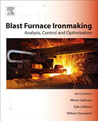 Kniha Blast Furnace Ironmaking Ian Cameron