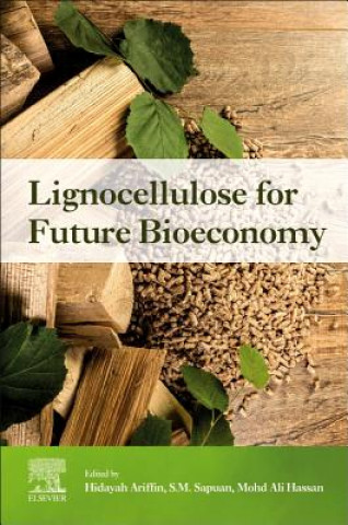 Knjiga Lignocellulose for Future Bioeconomy Hidayah Ariffin
