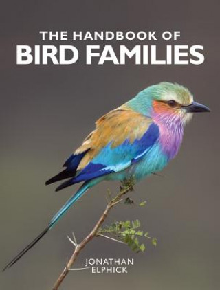 Knjiga The Handbook of Bird Families Jonathan Elphick