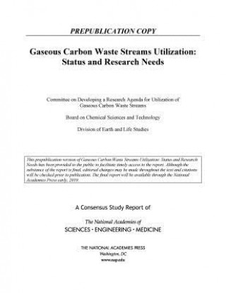 Könyv Gaseous Carbon Waste Streams Utilization: Status and Research Needs National Academies Of Sciences Engineeri