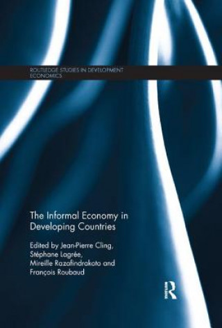 Boek Informal Economy in Developing Countries Jean-Pierre Cling