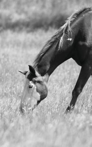 Knjiga Petite Equine Journal Jordan Wunderlich