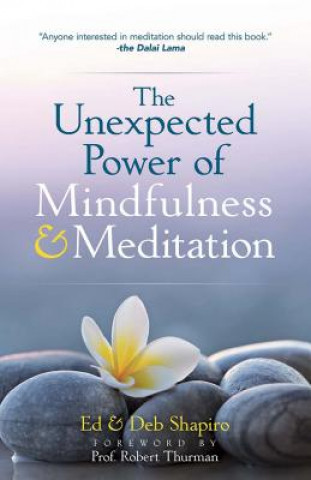 Kniha Unexpected Power of Mindfulness and Meditation Ed Shapiro