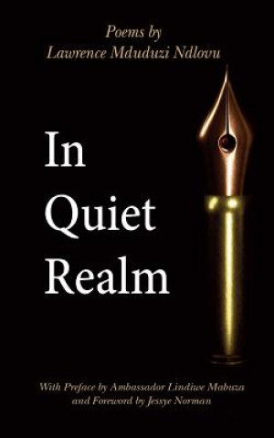 Libro In Quiet Realm Lindiwe Mabuza
