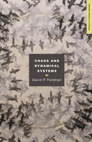 Könyv Chaos and Dynamical Systems David Feldman