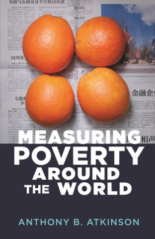 Boek Measuring Poverty around the World Anthony B. Atkinson