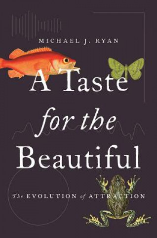 Kniha Taste for the Beautiful Michael Ryan