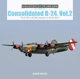 Книга Consolidated B24 Vol.2: The B24G to B24M Liberators in World War II David Doyle