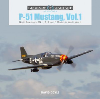 Kniha P51 Mustang, Vol.1: North American's Mk. I, A, B and C Models in World War II David Doyle