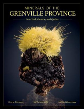 Kniha Minerals of the Grenville Province: New York, Ontario and Quebec George W. Robinson