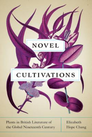 Buch Novel Cultivations Elizabeth Hope Chang