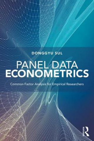 Kniha Panel Data Econometrics Sul