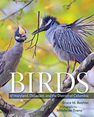 Könyv Birds of Maryland, Delaware, and the District of Columbia Bruce Beehler