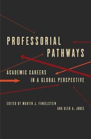 Kniha Professorial Pathways Martin J. Finkelstein