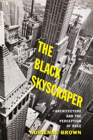 Книга Black Skyscraper Adrienne Brown
