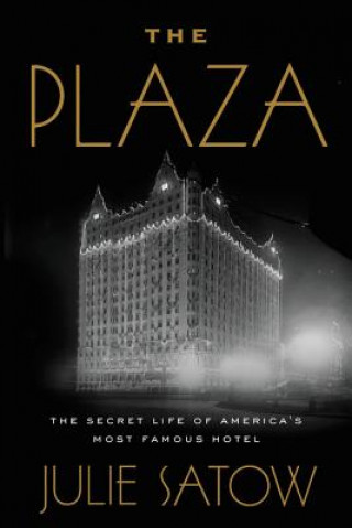 Kniha Plaza Julie Satow